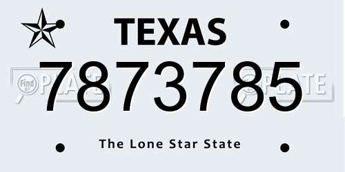 7873785 Texas License Plate