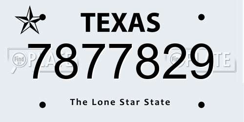 7877829 Texas License Plate