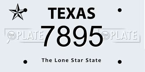 7895 Texas License Plate