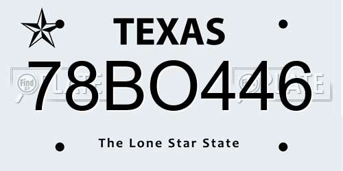 78BO446 Texas License Plate