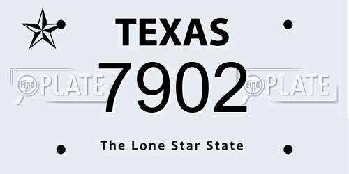 7902 Texas License Plate
