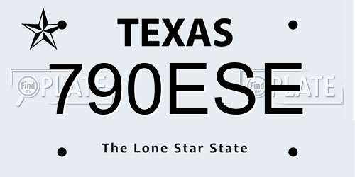790ESE Texas License Plate