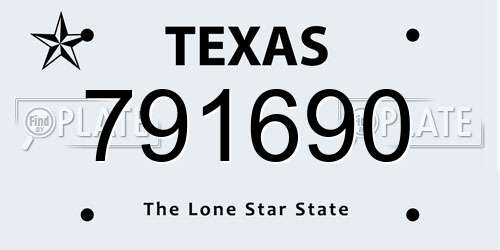 791690 Texas License Plate