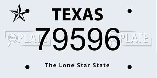 79596 Texas License Plate