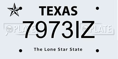 7973IZ Texas License Plate