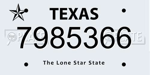7985366 Texas License Plate