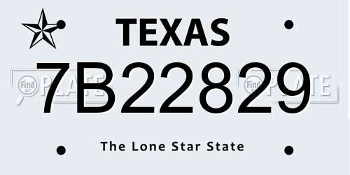 7B22829 Texas License Plate