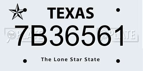 7B36561 Texas License Plate