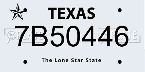 7B50446 Texas License Plate