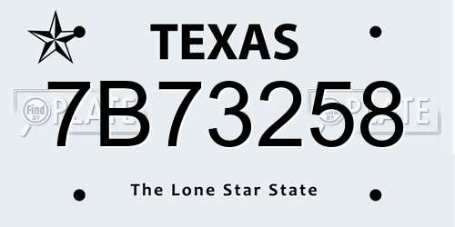 7B73258 Texas License Plate