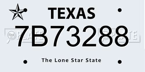 7B73288 Texas License Plate