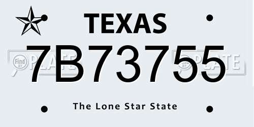 7B73755 Texas License Plate