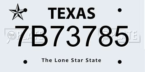 7B73785 Texas License Plate