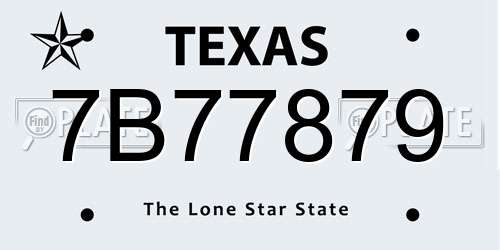 7B77879 Texas License Plate