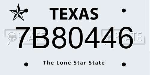 7B80446 Texas License Plate