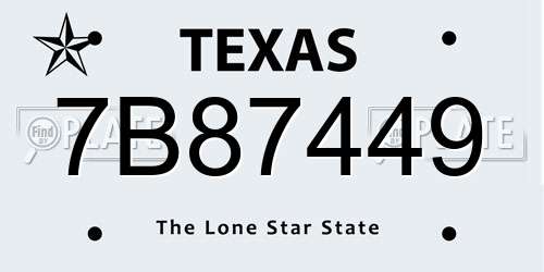 7B87449 Texas License Plate