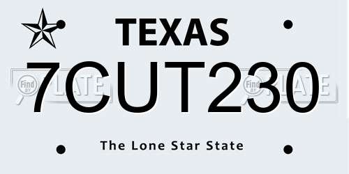 7CUT230 Texas License Plate