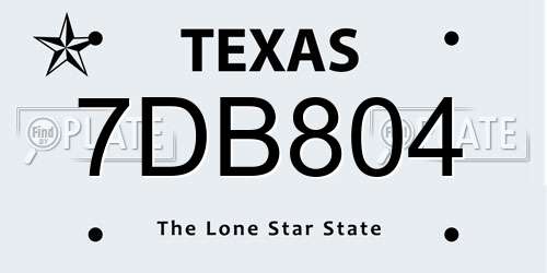 7DB804 Texas License Plate