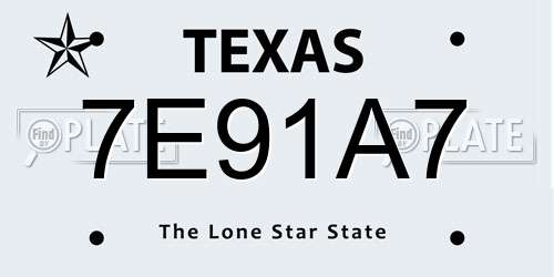 7E91A7 Texas License Plate