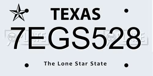 7EGS528 Texas License Plate
