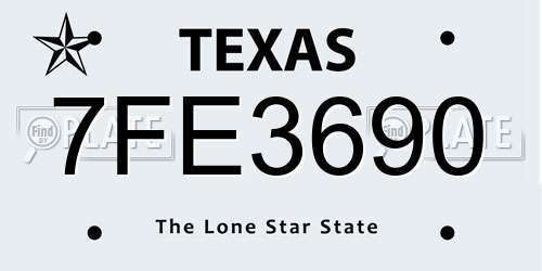 7FE3690 Texas License Plate