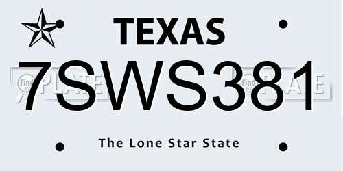 7SWS381 Texas License Plate