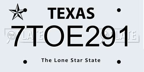 7TOE291 Texas License Plate
