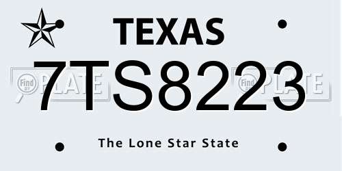 7TS8223 Texas License Plate
