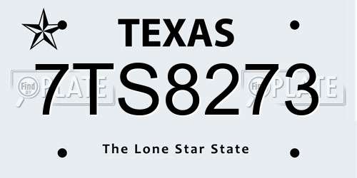 7TS8273 Texas License Plate