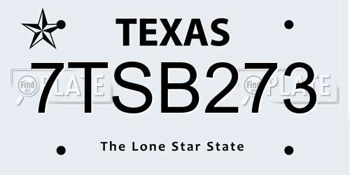 7TSB273 Texas License Plate