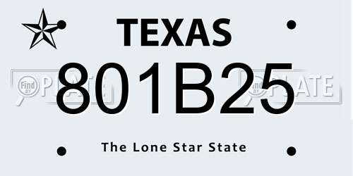 801B25 Texas License Plate