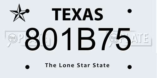 801B75 Texas License Plate