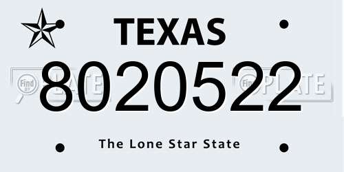 8020522 Texas License Plate