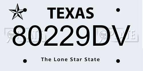 80229DV Texas License Plate