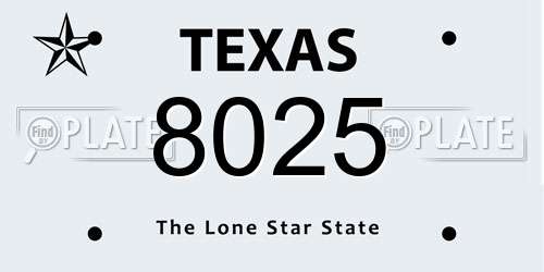 8025 Texas License Plate