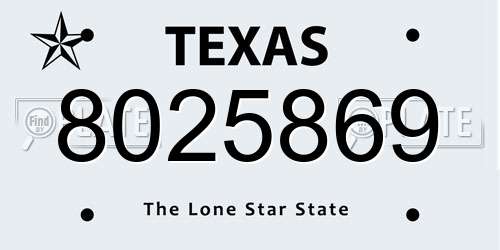 8025869 Texas License Plate
