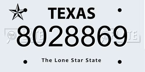 8028869 Texas License Plate