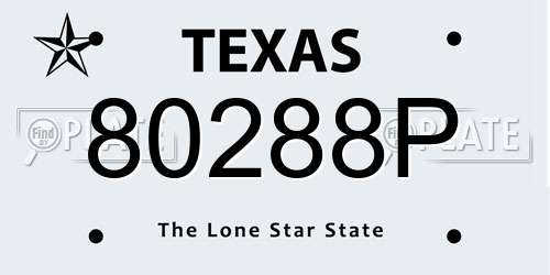 80288P Texas License Plate