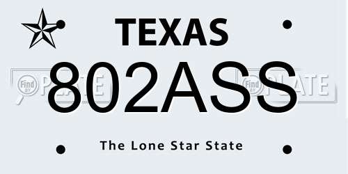 802ASS Texas License Plate