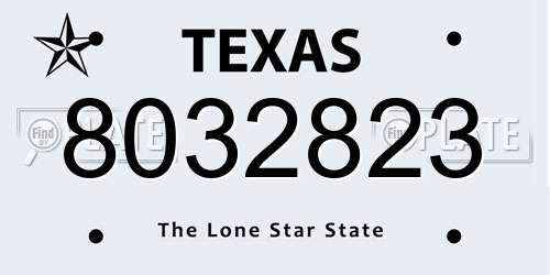 8032823 Texas License Plate