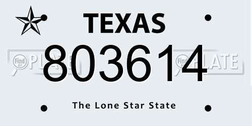 803614 Texas License Plate