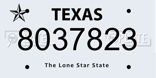 8037823 Texas License Plate