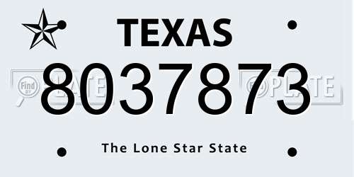 8037873 Texas License Plate