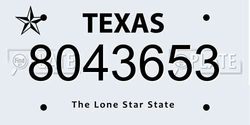 8043653 Texas License Plate
