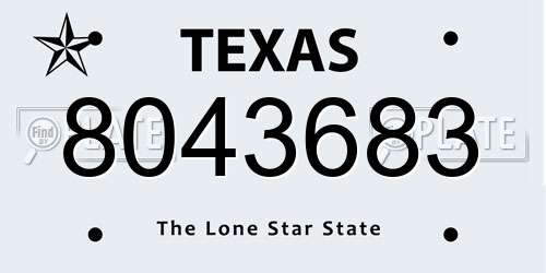 8043683 Texas License Plate