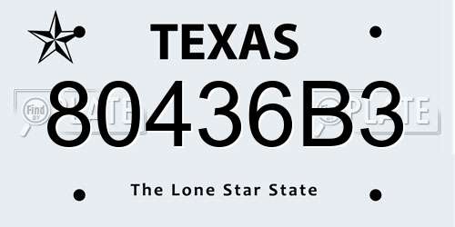 80436B3 Texas License Plate