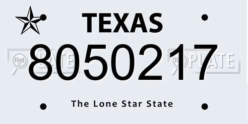 8050217 Texas License Plate