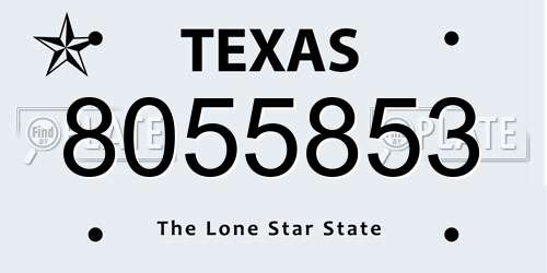 8055853 Texas License Plate