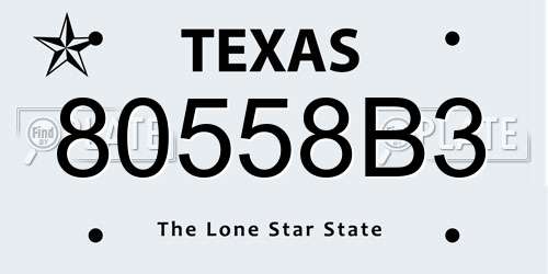 80558B3 Texas License Plate