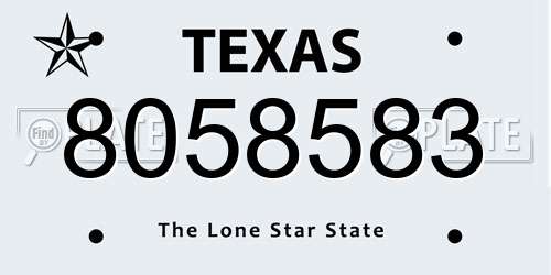 8058583 Texas License Plate